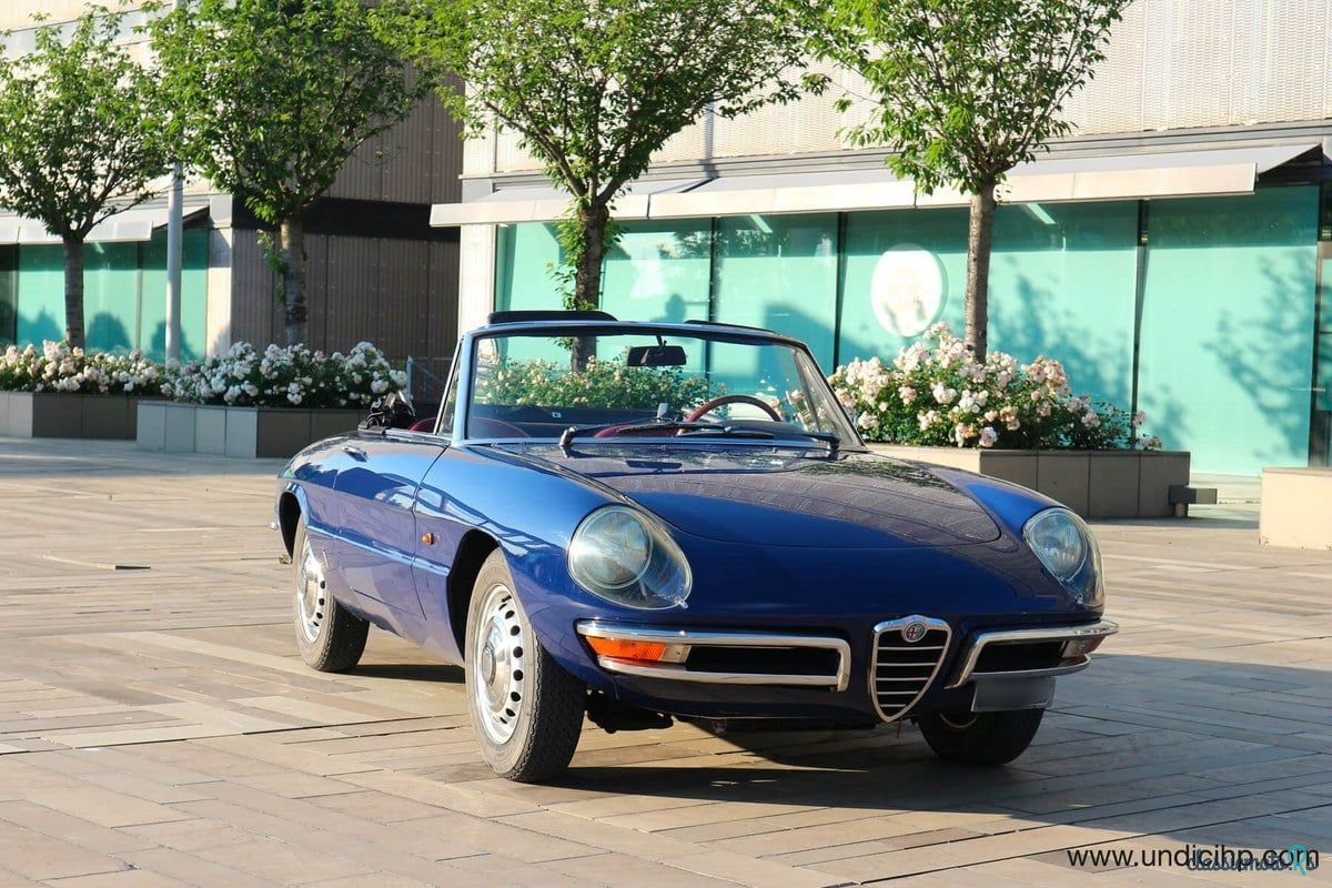 1966' Alfa Romeo Spider Duetto photo #4