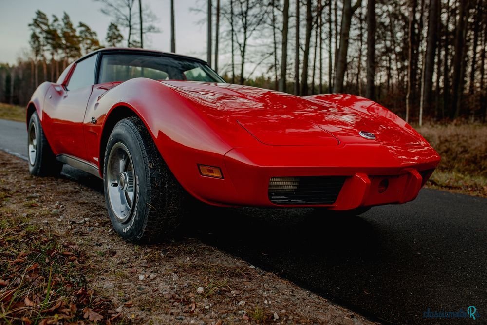 1976' Chevrolet Corvette photo #2