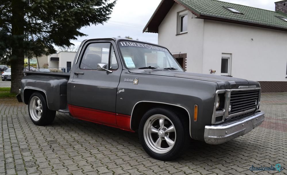 1979' Chevrolet C-10 photo #3