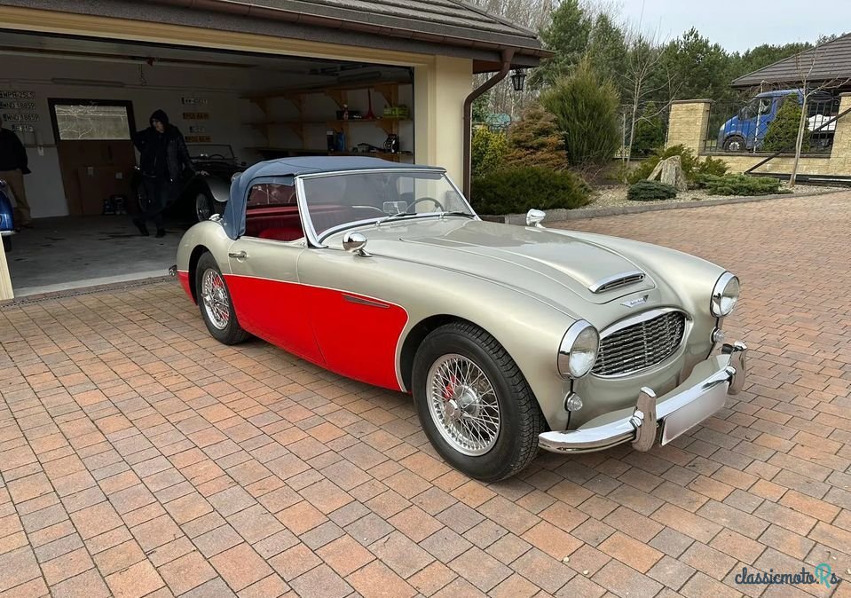 1960' Austin-Healey 3000 photo #3