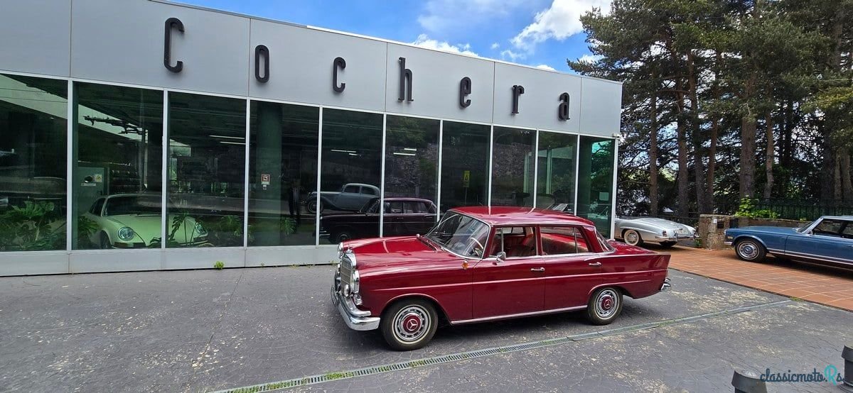 1968' Mercedes-Benz 200 photo #1