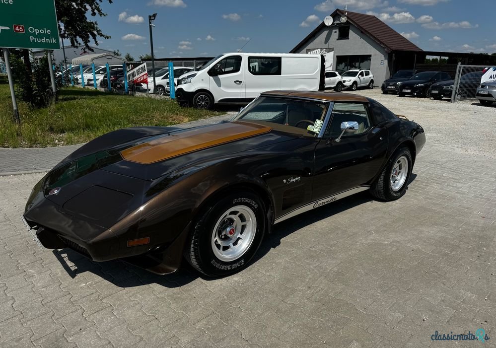 1976' Chevrolet Corvette photo #1