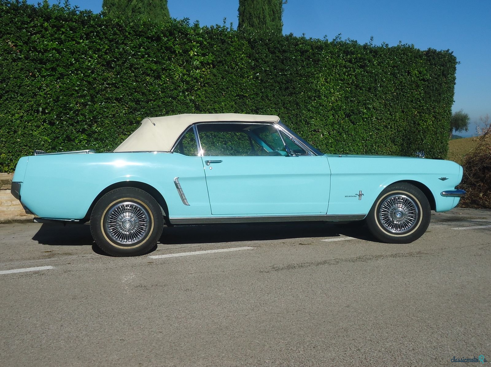 1965' Ford Mustang photo #2