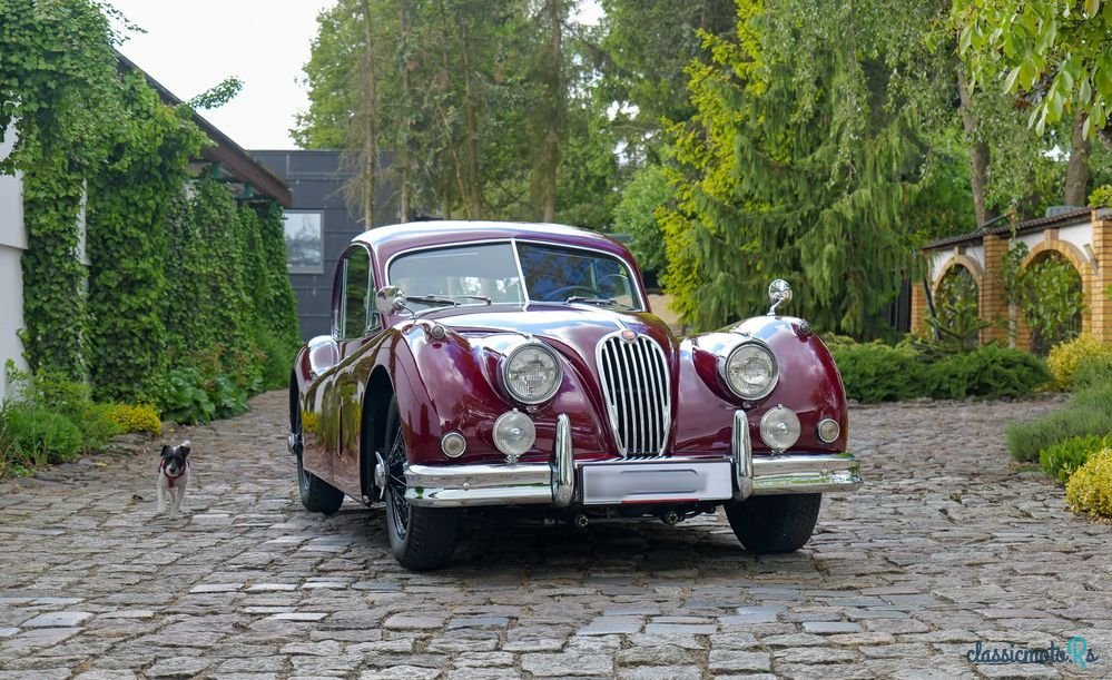 1955' Jaguar XK photo #1