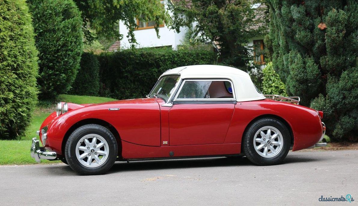 1959' Austin-Healey Sprite Mk1 Frogeye photo #5