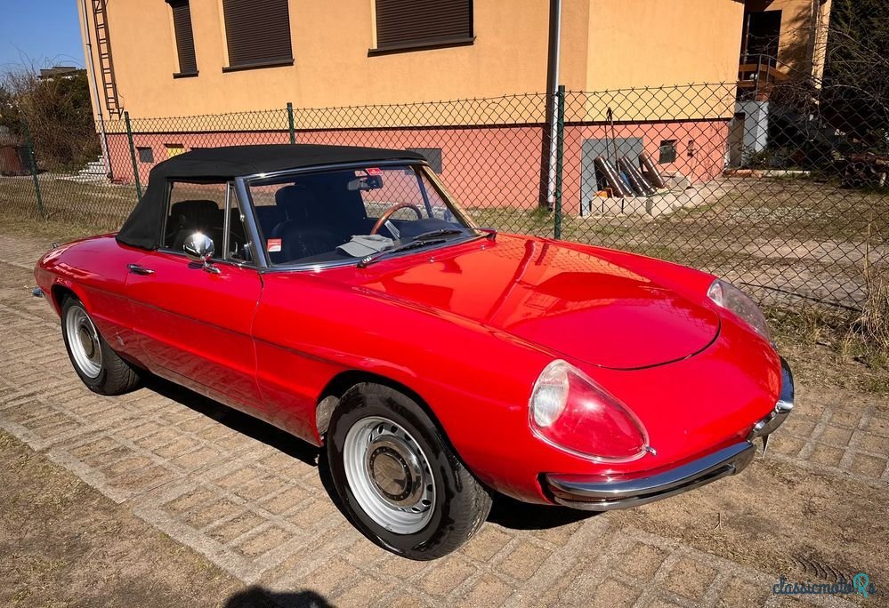 1969' Alfa Romeo Spider photo #1