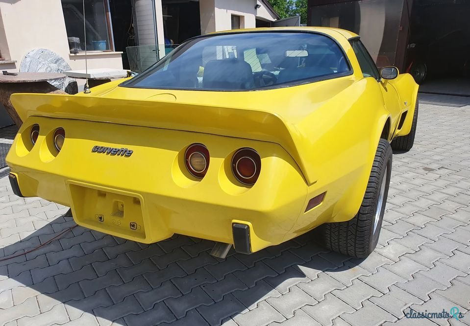 1979' Chevrolet Corvette photo #5