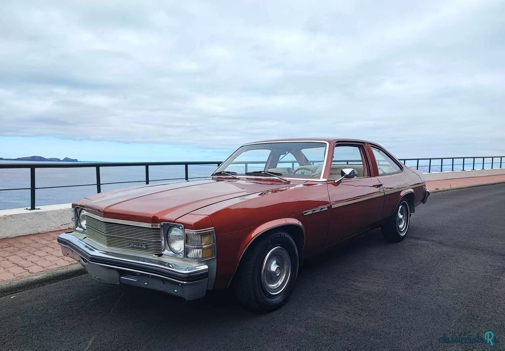 1976' Buick Skylark photo #1