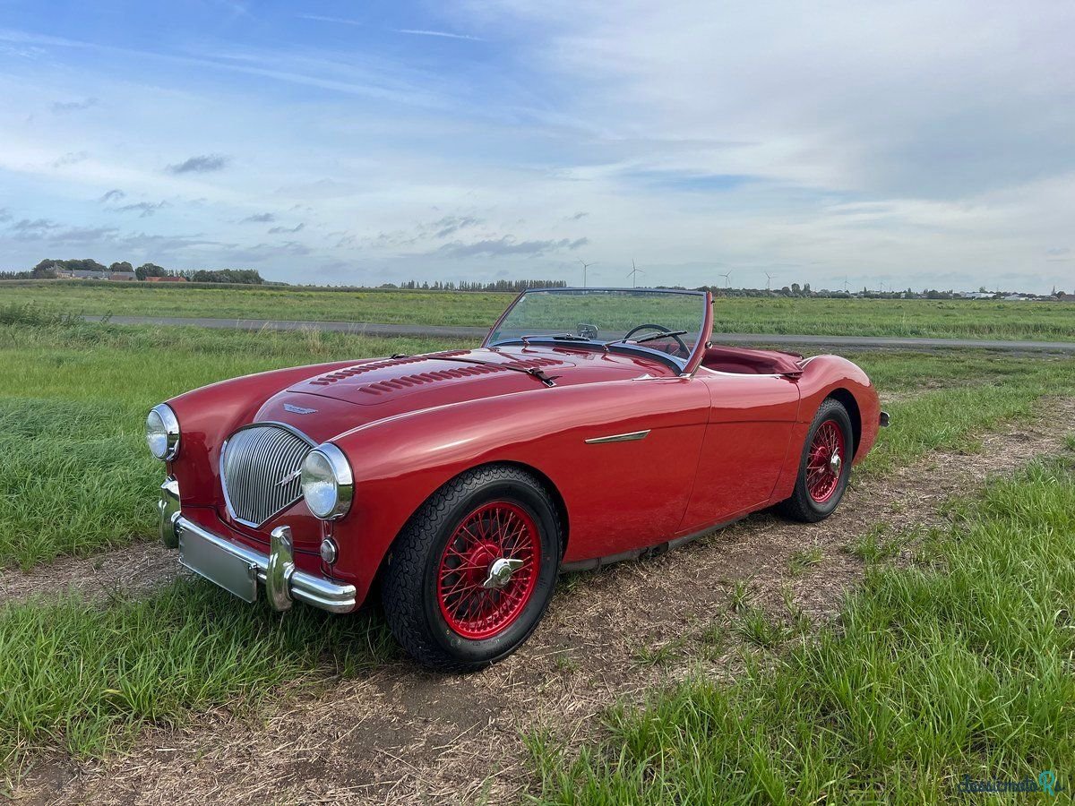1954' Austin-Healey 100 photo #1