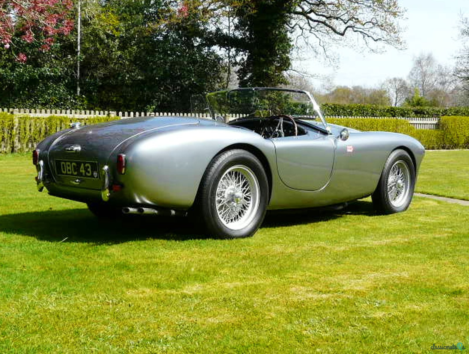 1955' AC Ace photo #2