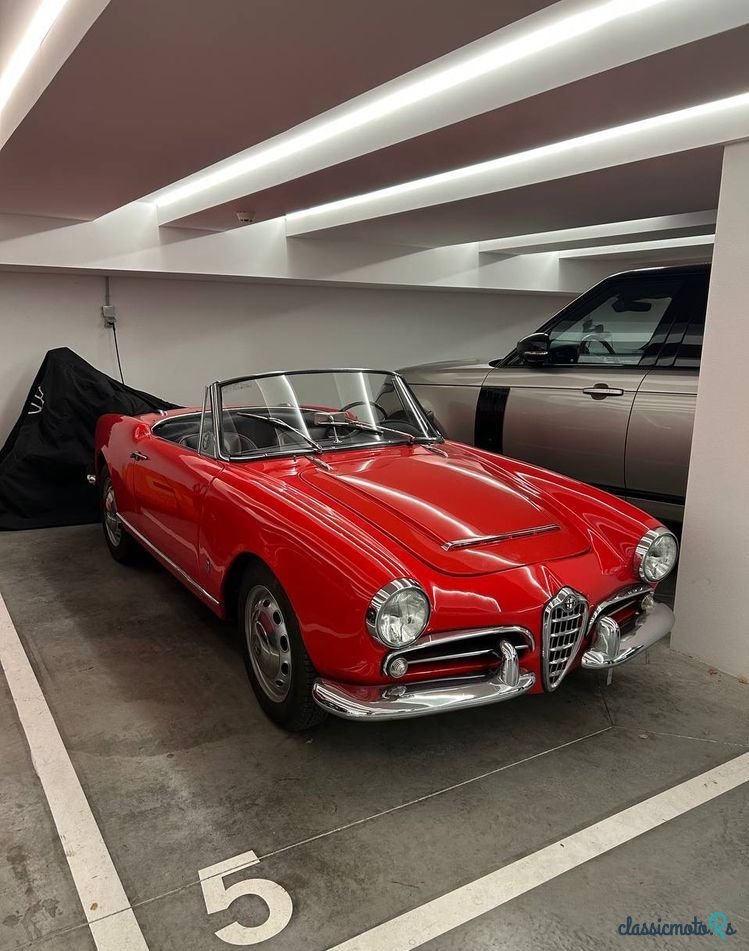 1963' Alfa Romeo Giulia photo #1
