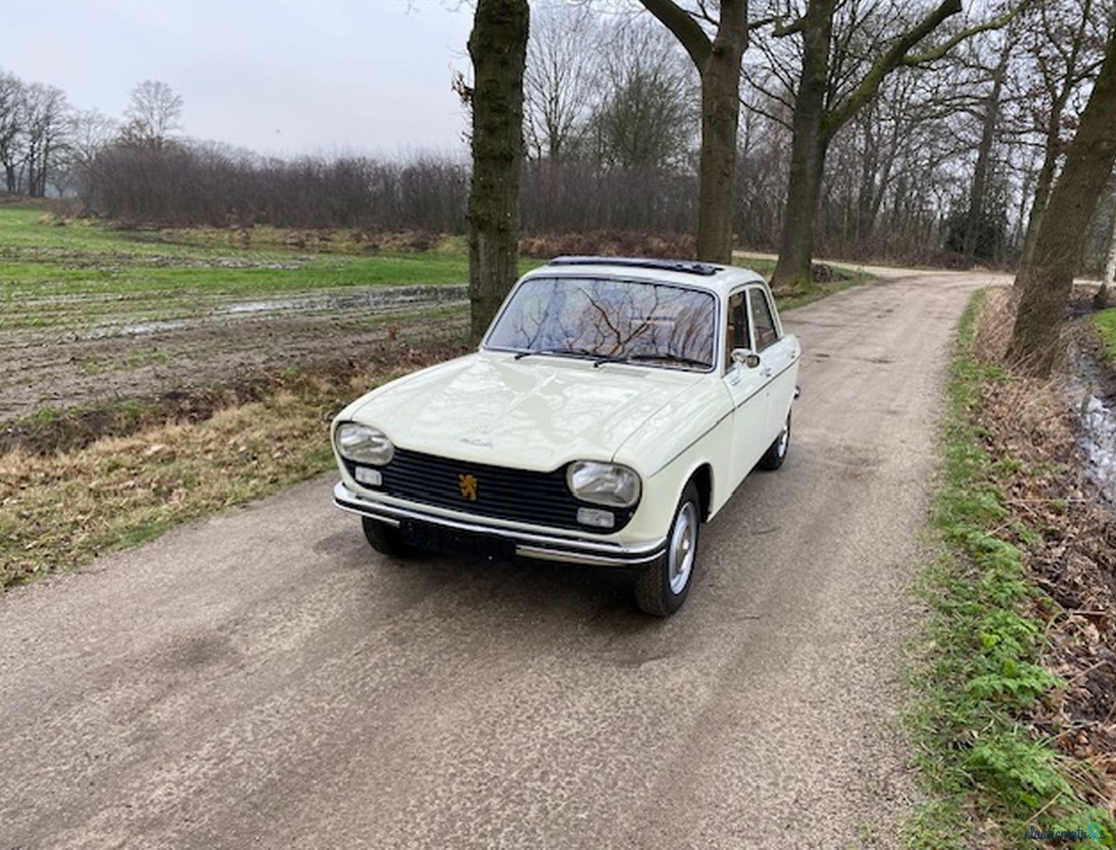 1974' Peugeot 204 Berline photo #2