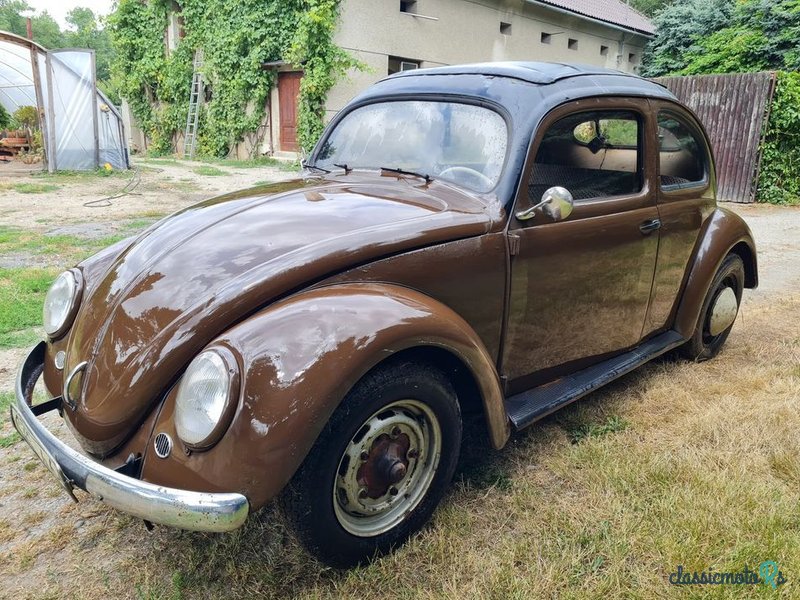 1954' Volkswagen Garbus photo #4