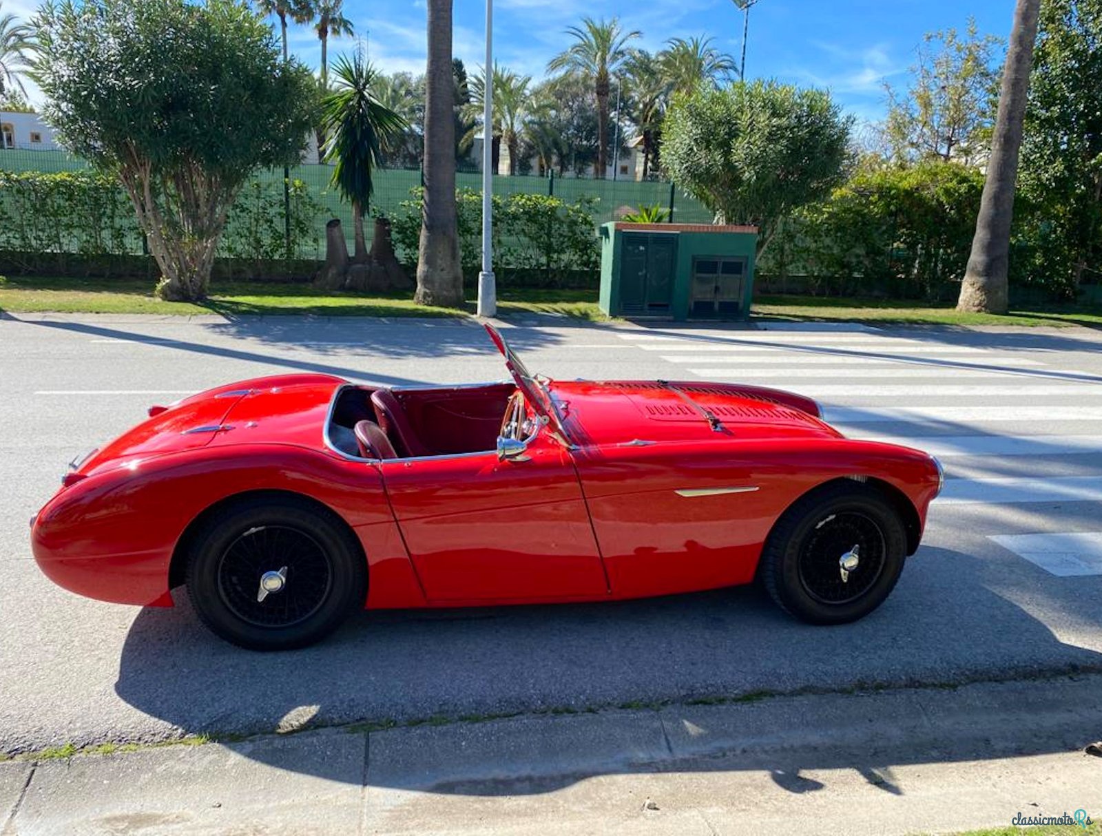 1956' Austin-Healey Bn2 photo #2