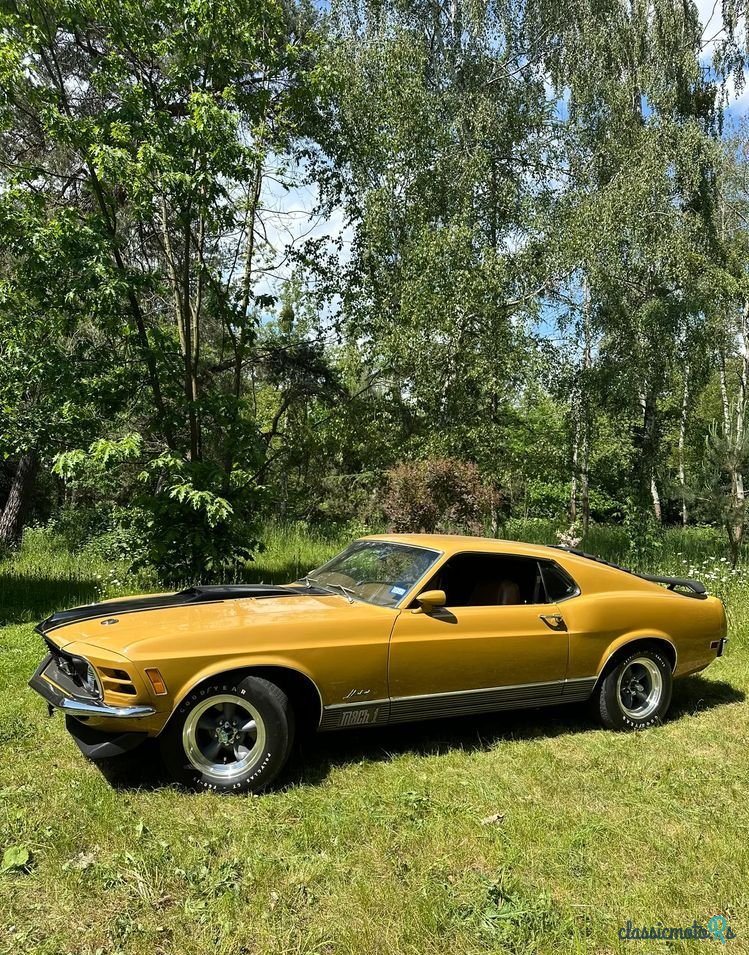 1970' Ford Mustang photo #3