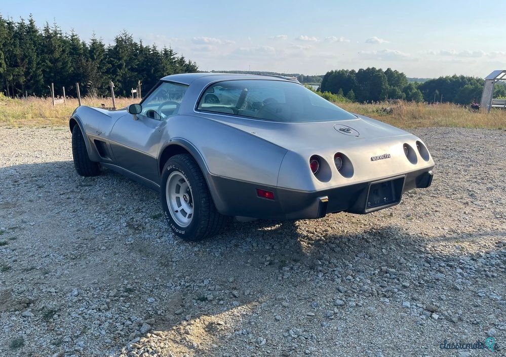 1978' Chevrolet Corvette photo #4