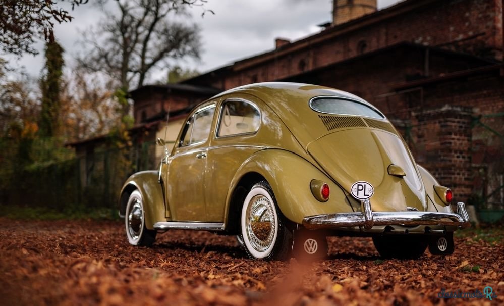 1956' Volkswagen Garbus photo #6