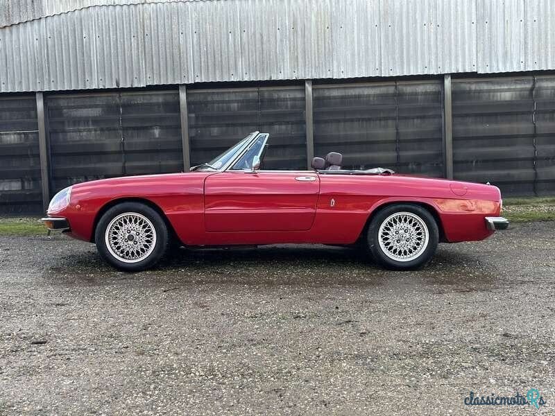 1976' Alfa Romeo 2000 photo #5