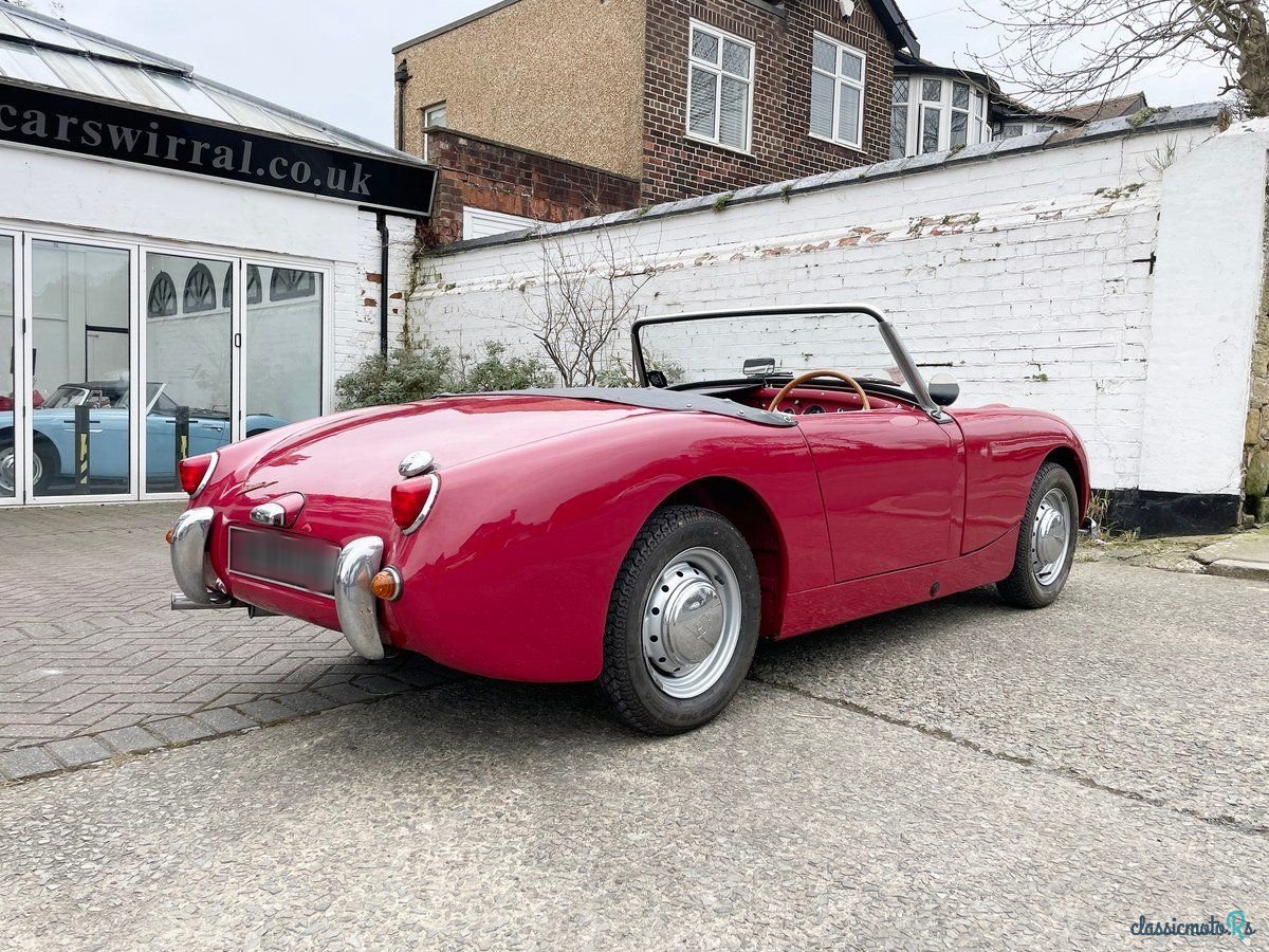 1959' Austin-Healey Sprite photo #5