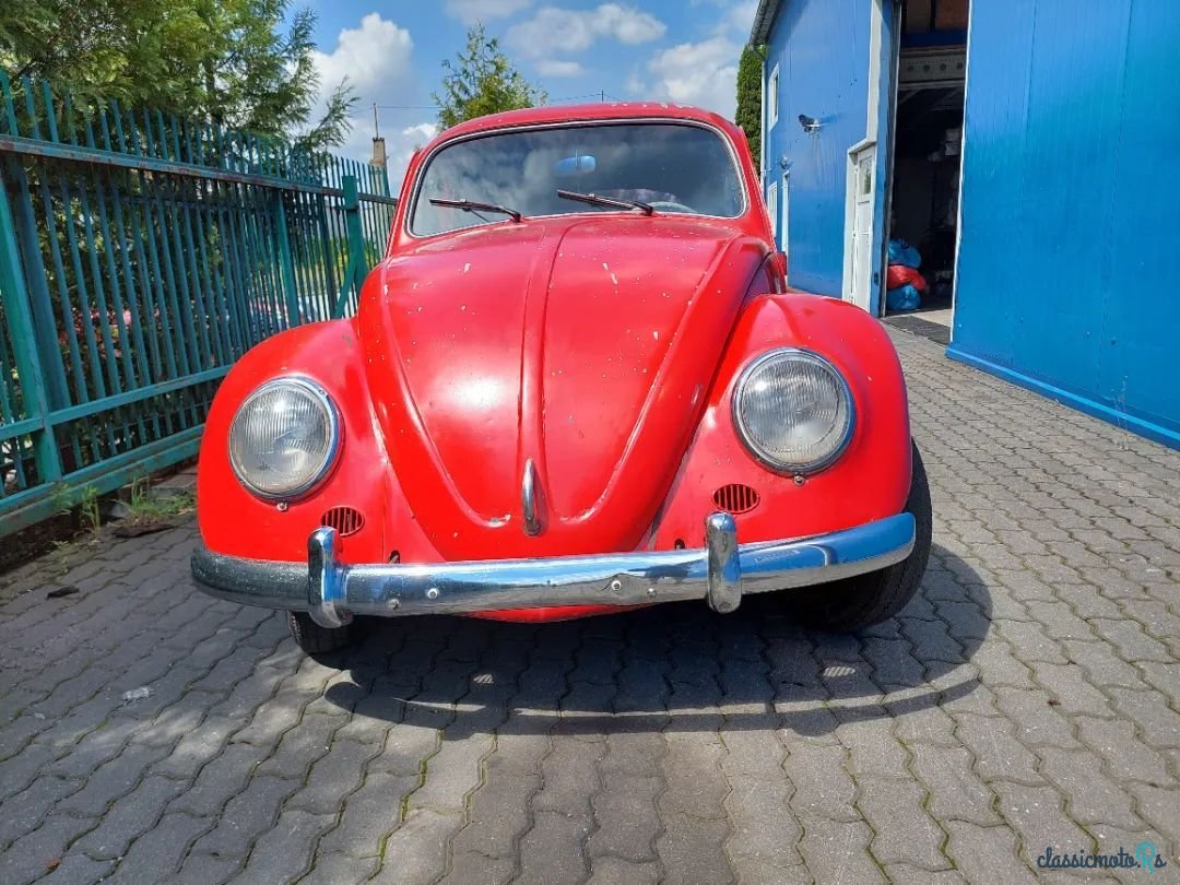 1959' Volkswagen Garbus photo #3