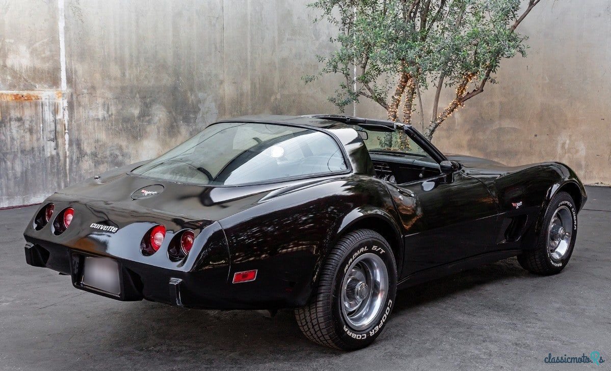 1979' Chevrolet Corvette photo #6