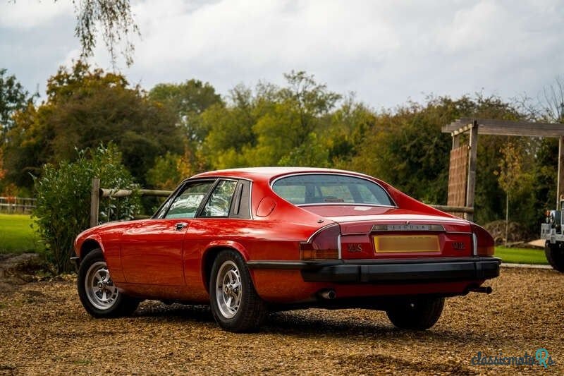 1978' Jaguar XJS photo #5