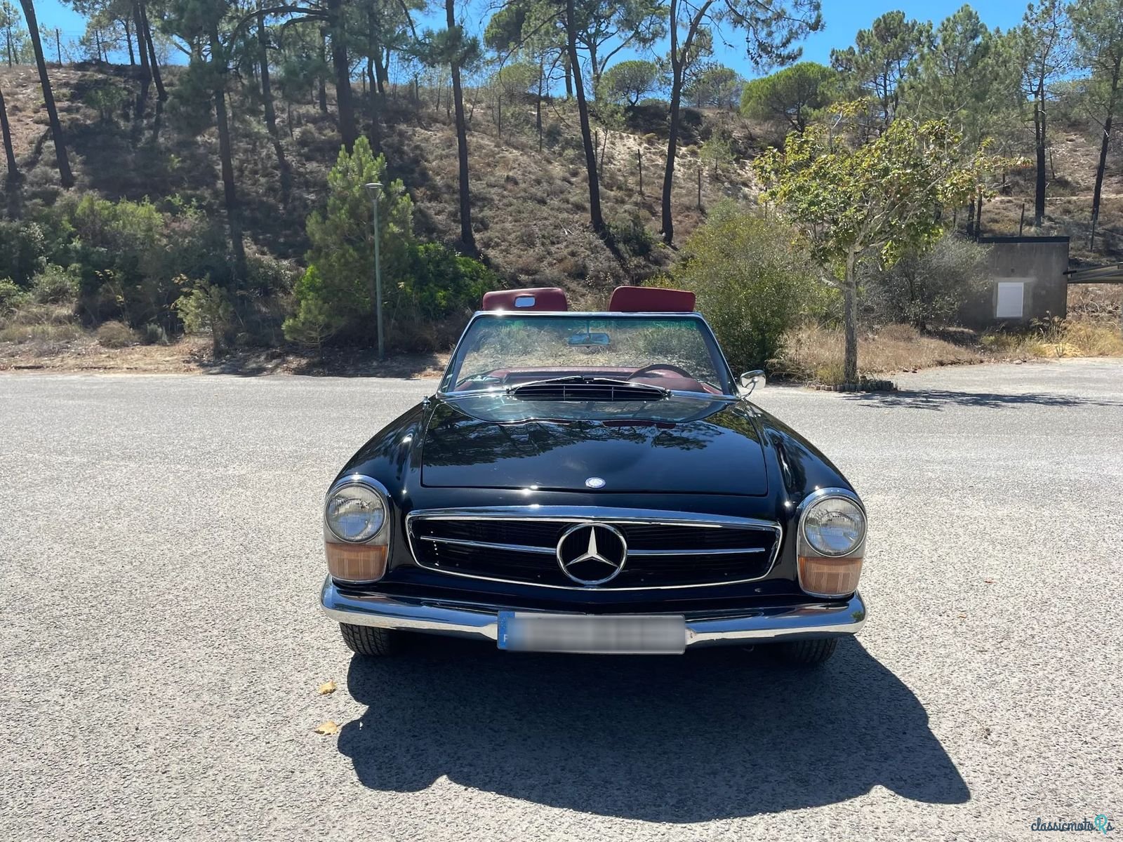 1966' Mercedes-Benz 230 photo #2