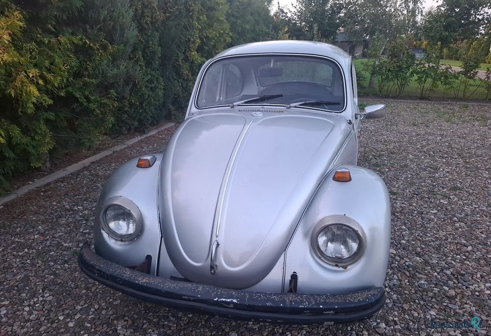 1971' Volkswagen Garbus photo #6