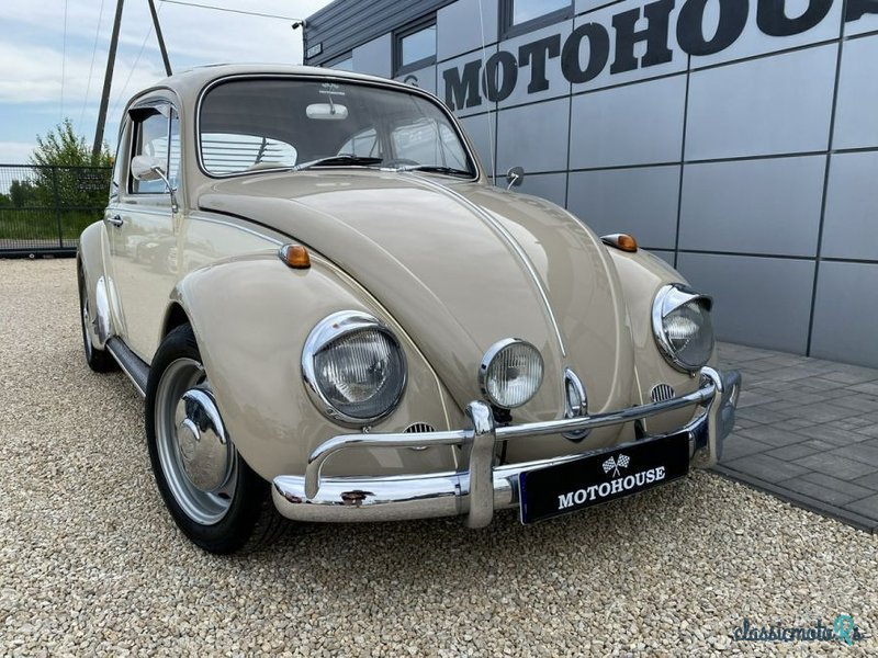 1967' Volkswagen Garbus photo #2