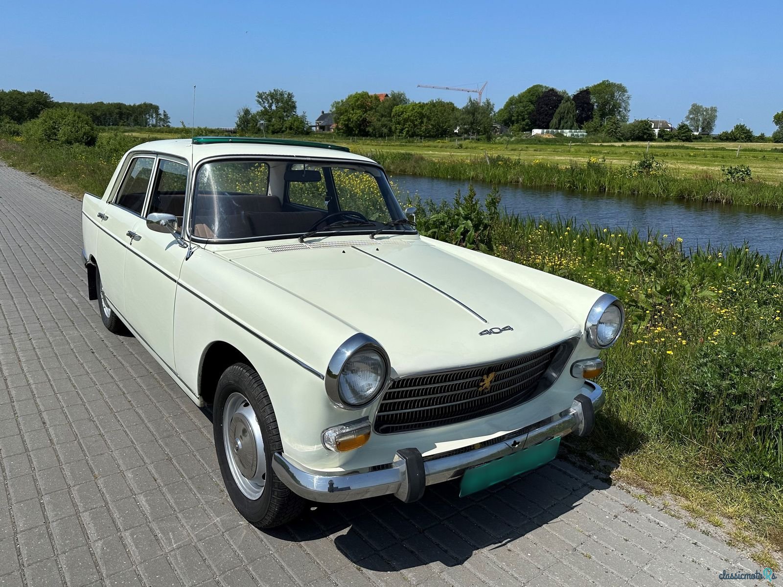 1973' Peugeot 404 photo #5