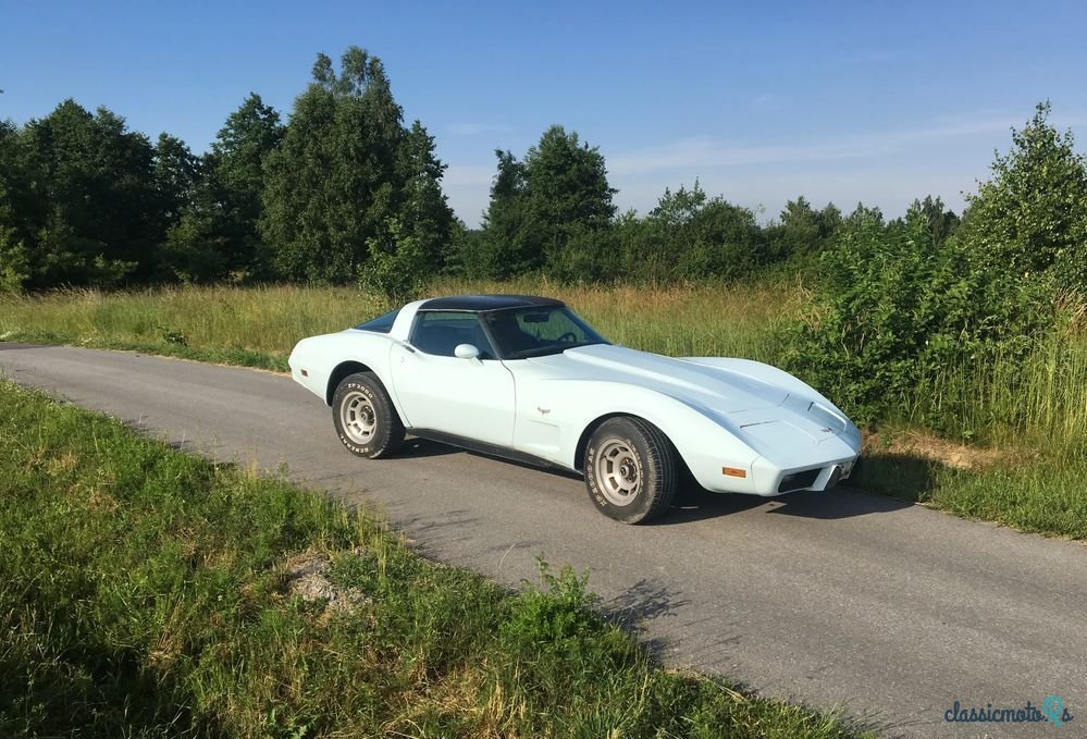 1978' Chevrolet Corvette photo #3