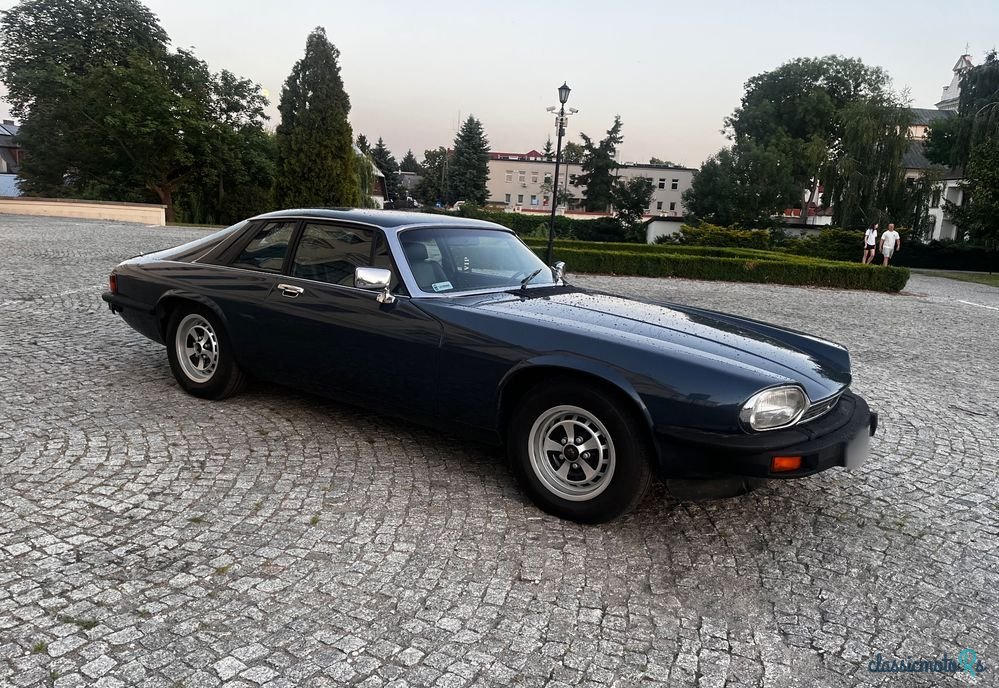 1979' Jaguar XJS photo #6