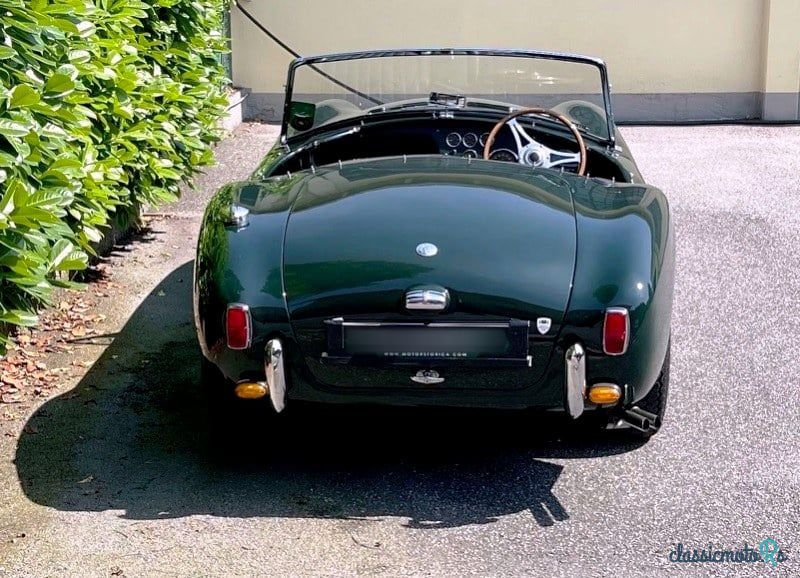 1955' AC Ace photo #2