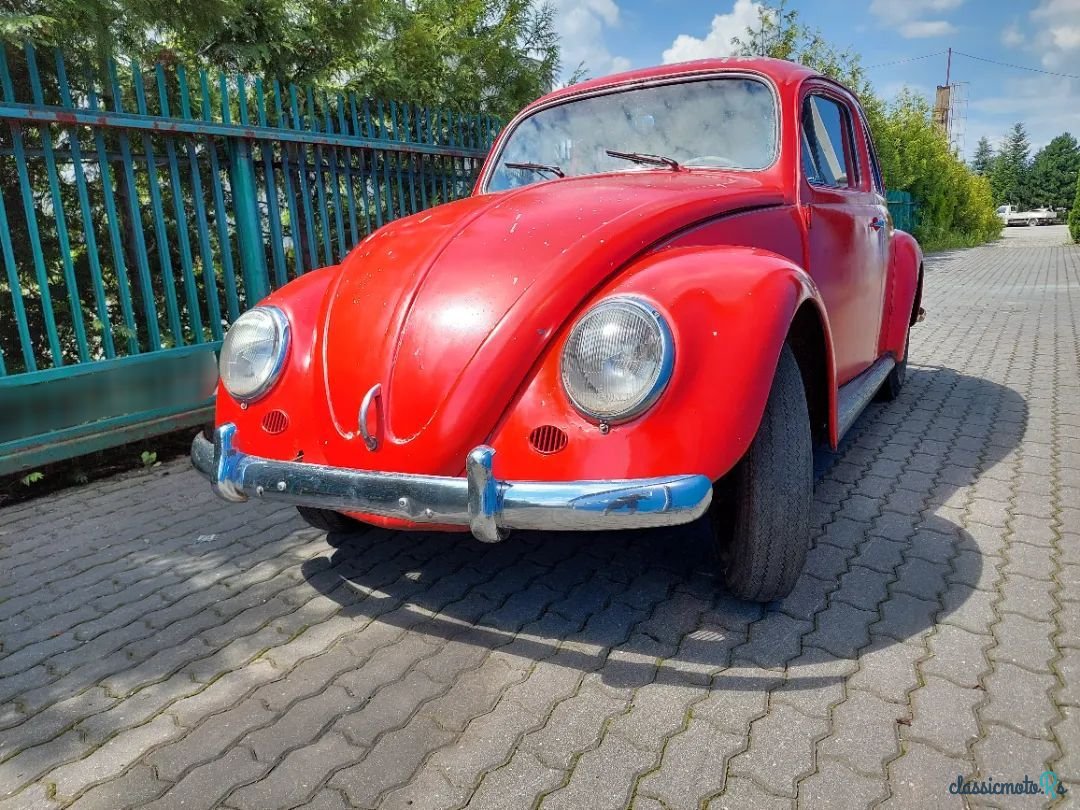 1959' Volkswagen Garbus photo #2
