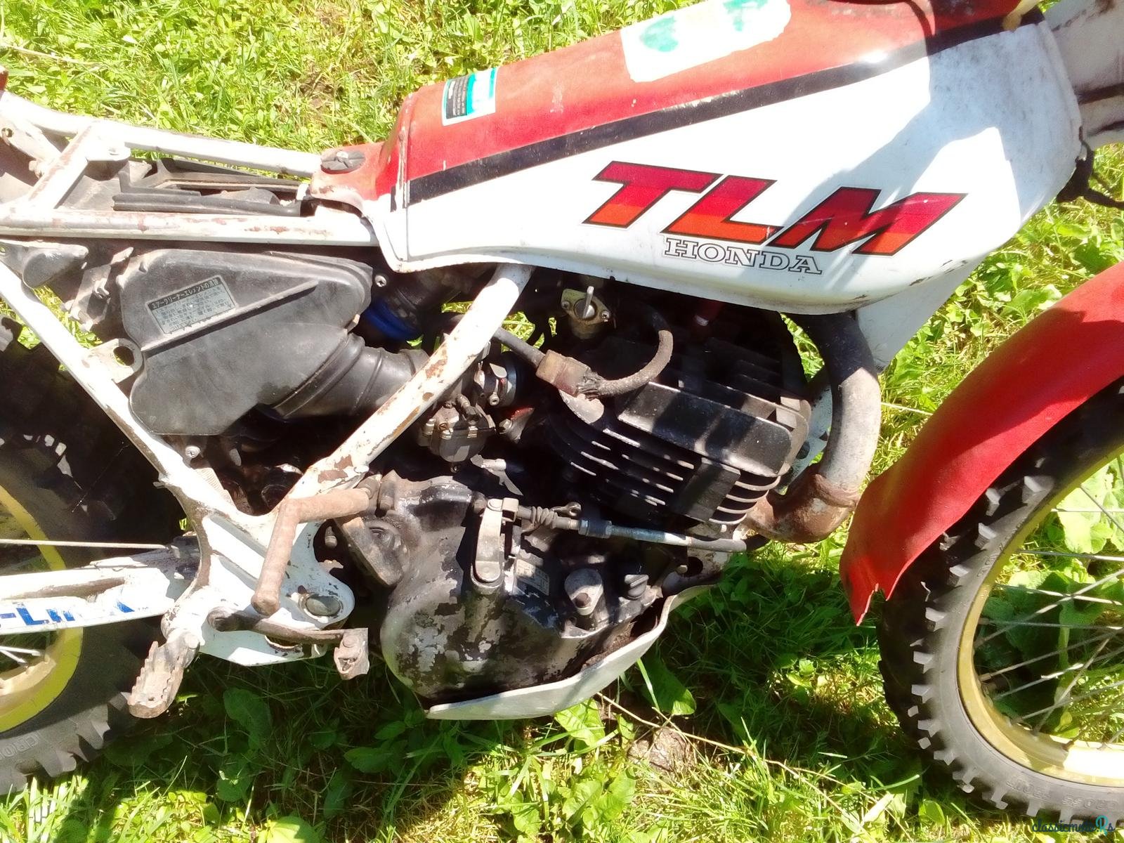 1984' Honda TLM 200 photo #5
