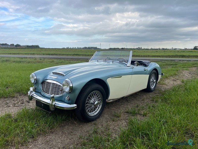 1959' Austin-Healey 100-6 photo #1