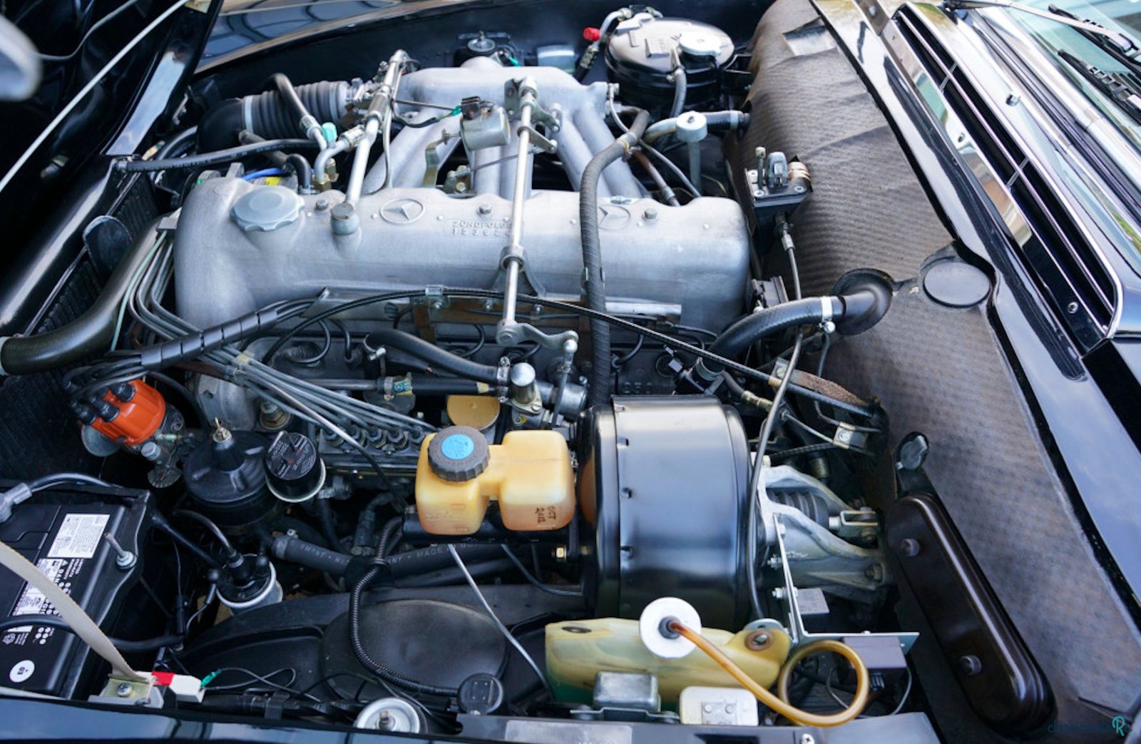 1966' Mercedes-Benz 230 photo #4