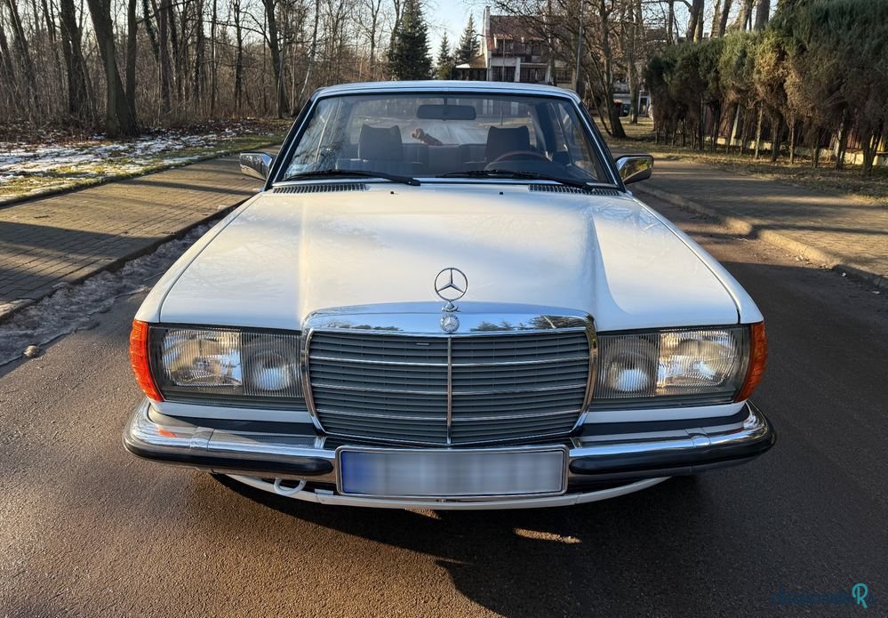 1979' Mercedes-Benz W123 photo #2