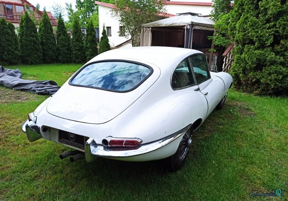 1967' Jaguar E-Type photo #3