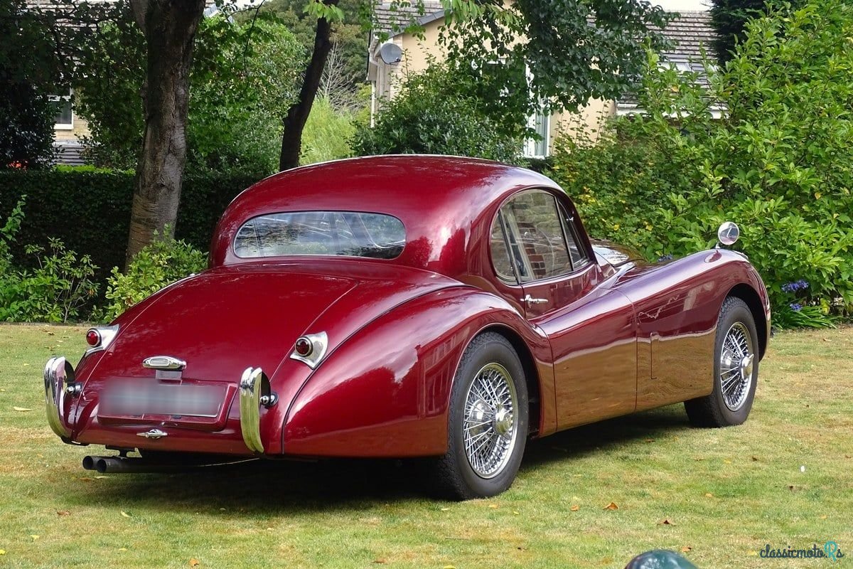 1953' Jaguar XK photo #6