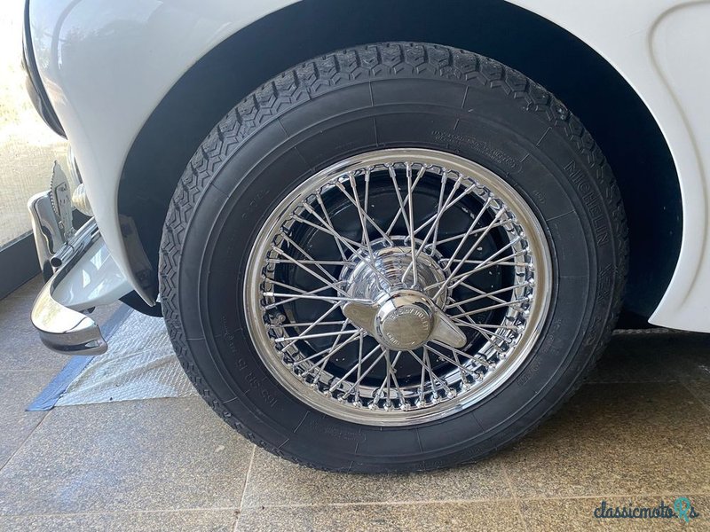 1959' Austin-Healey 3000 photo #2