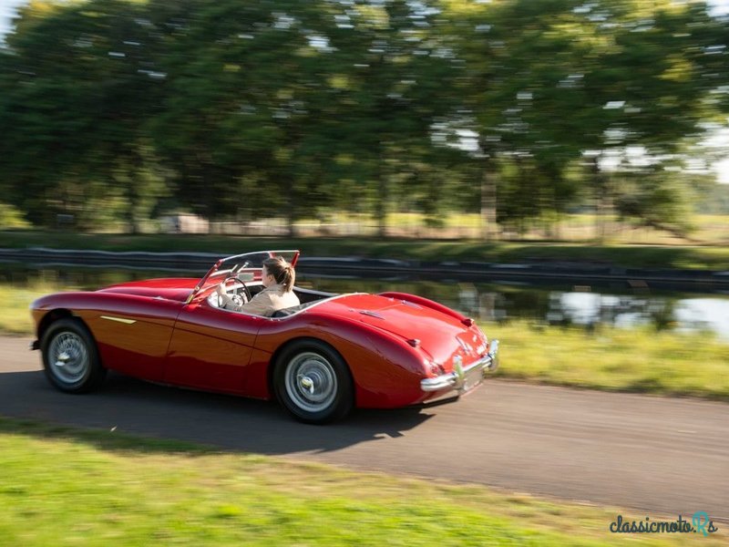 1955' Austin-Healey 100/4 photo #5