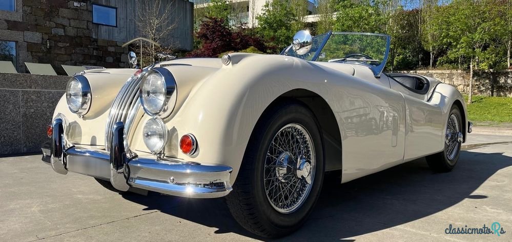 1955' Jaguar XK photo #6