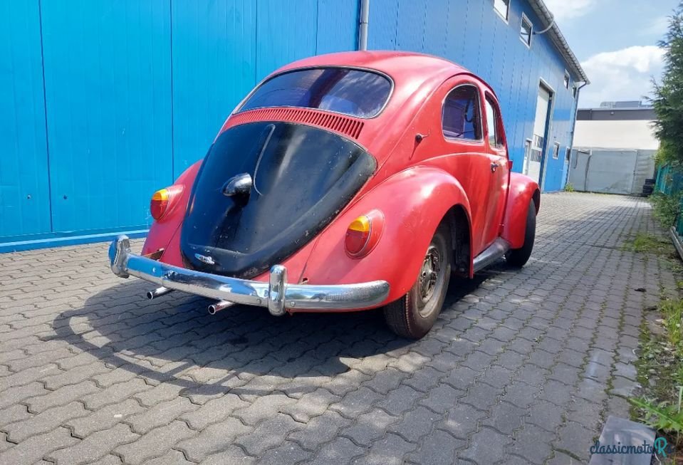 1959' Volkswagen Garbus photo #4