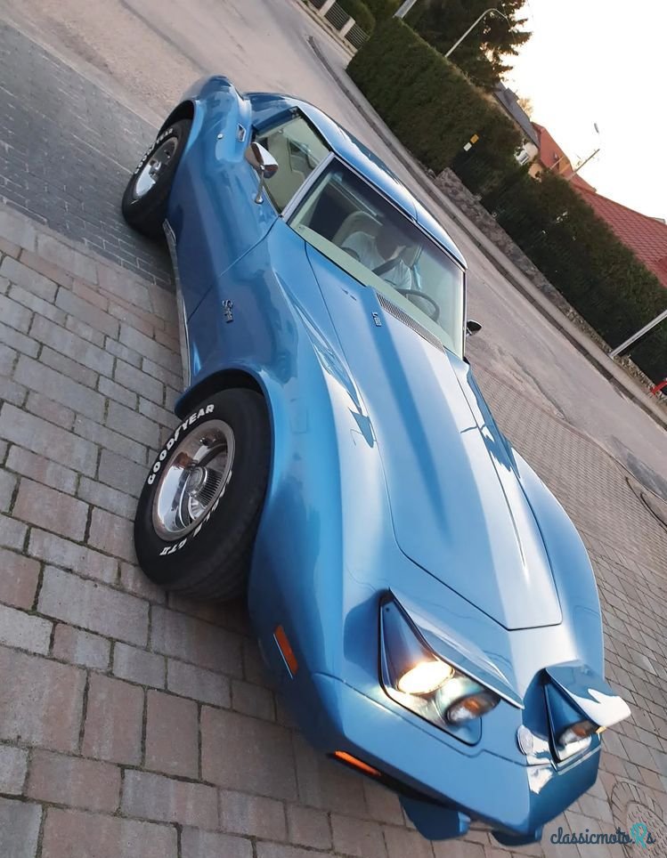 1975' Chevrolet Corvette photo #3