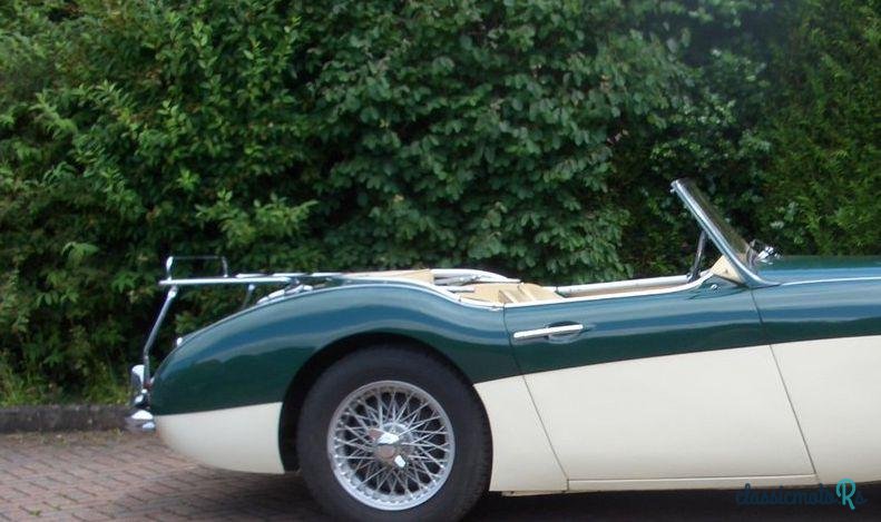 1959' Austin-Healey 3000 photo #1