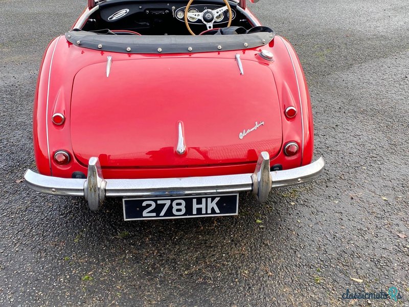 1957' Austin-Healey 100-6 photo #4