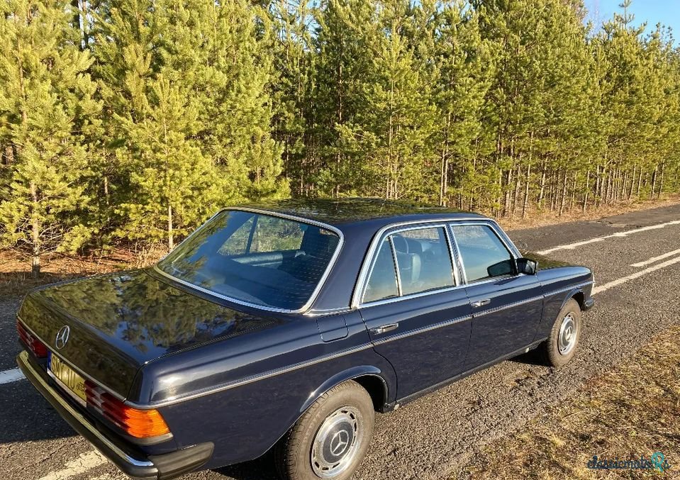 1979' Mercedes-Benz W123 photo #3