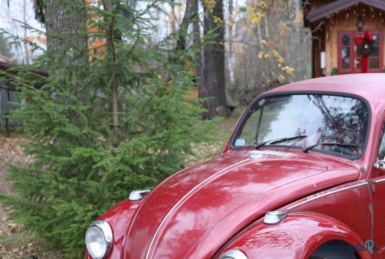 1968' Volkswagen Garbus photo #3