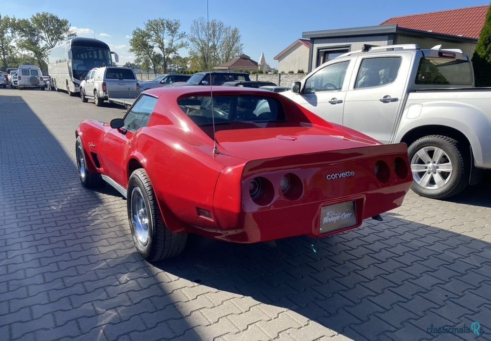 1977' Chevrolet Corvette photo #3